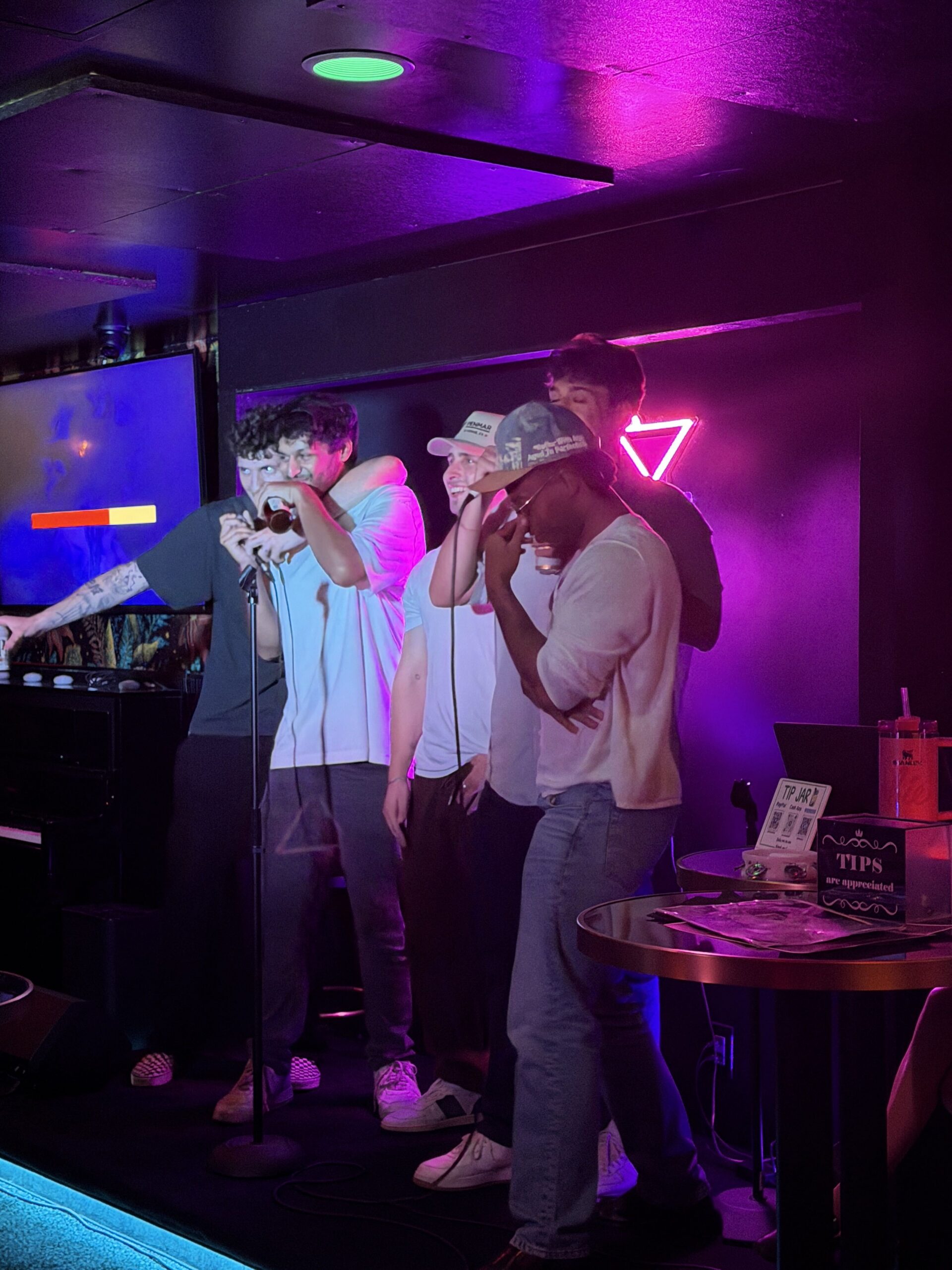 Bunch of people singing in karaoke